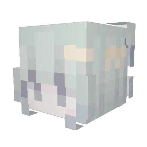 katefelloff Minecraft avatar head, 3D render