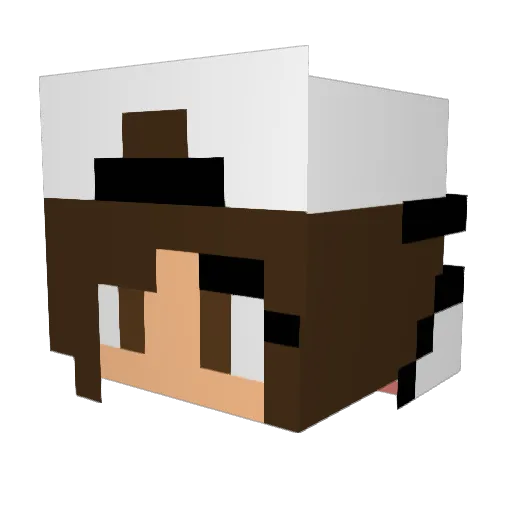 katelolipop104 Minecraft avatar head, 3D render