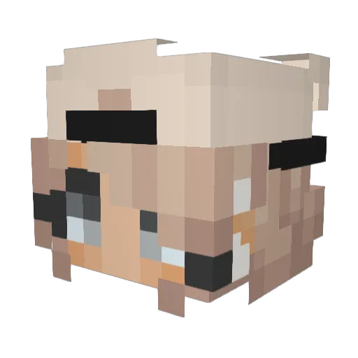 katelynl213 Minecraft avatar head, 3D render