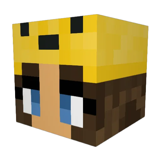 katelynnoob17 Minecraft avatar head, 3D render