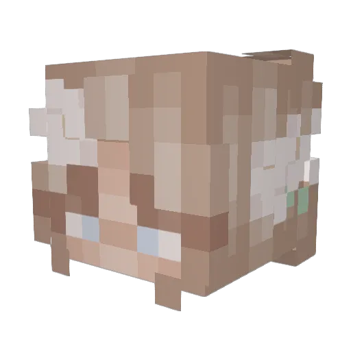 katemeister Minecraft avatar head, 3D render