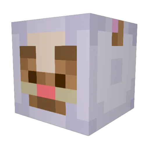 kater__ Minecraft avatar head, 3D render