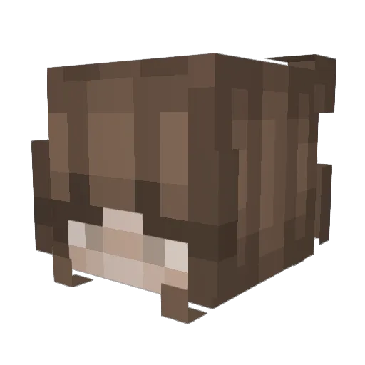 katerade03 Minecraft avatar head, 3D render