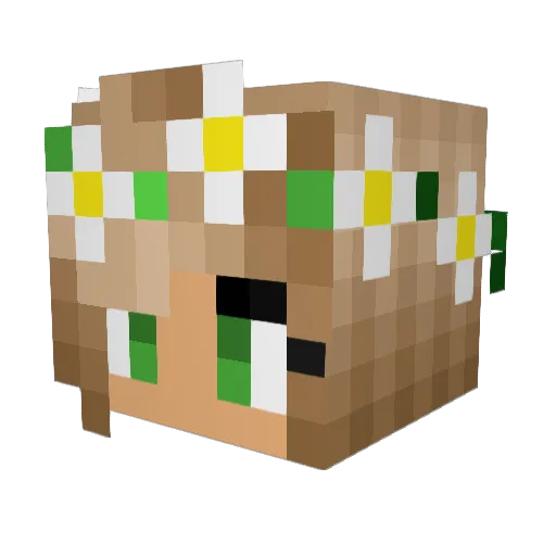katie4714 Minecraft avatar head, 3D render