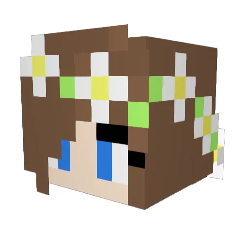 katiebourkee1 Minecraft avatar head, 3D render