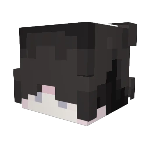 katiee3 Minecraft avatar head, 3D render