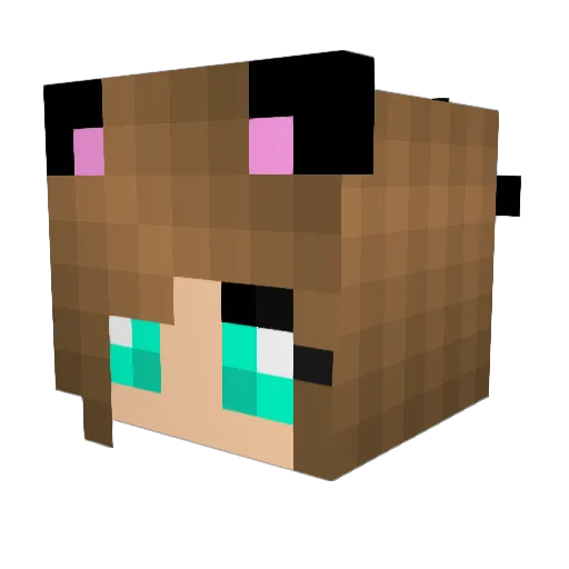 katiegal24680 Minecraft avatar head, 3D render