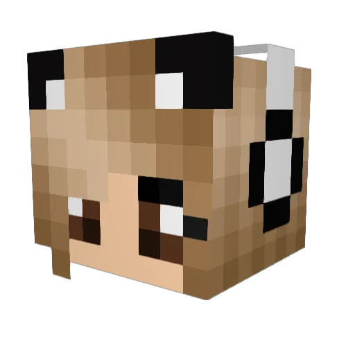 katiekat810 Minecraft avatar head, 3D render