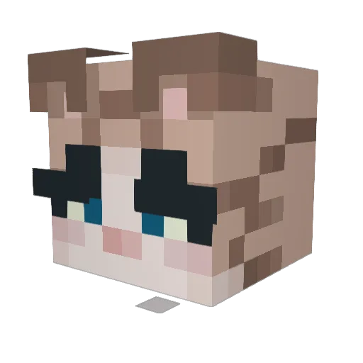 katiekatydid Minecraft avatar head, 3D render
