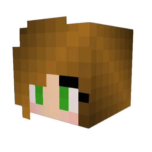 katiekoop4 Minecraft avatar head, 3D render