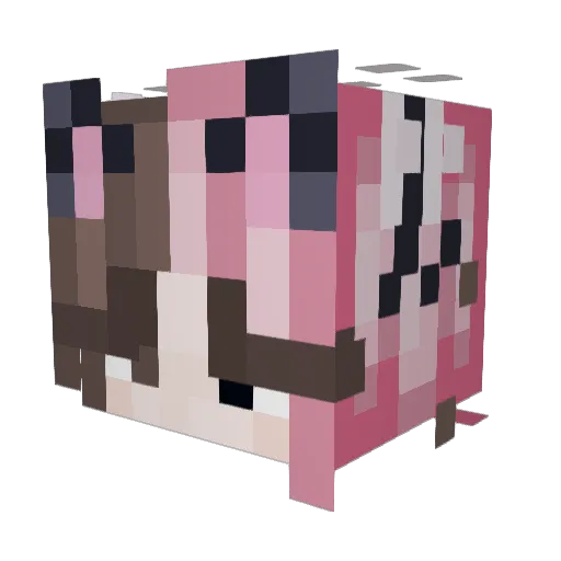 katjaaalol Minecraft avatar head, 3D render