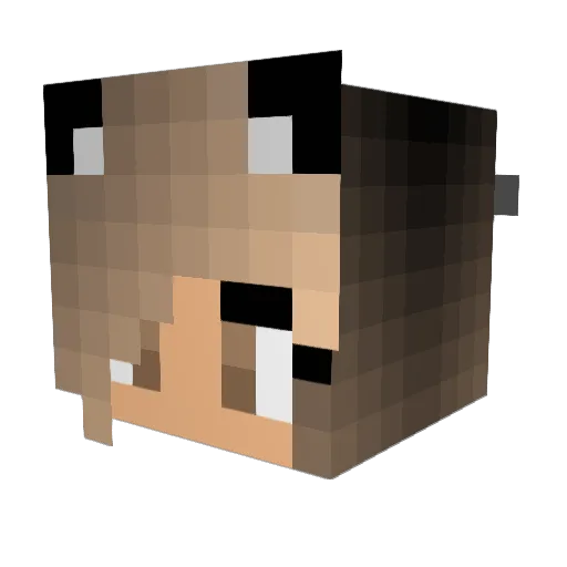 katness22 Minecraft avatar head, 3D render