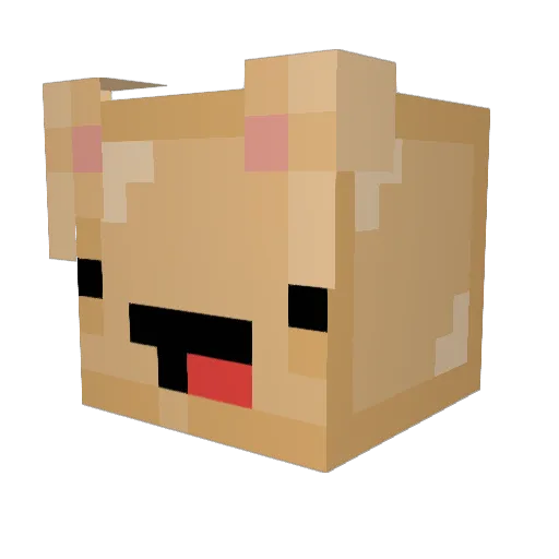 katom_2316 Minecraft avatar head, 3D render
