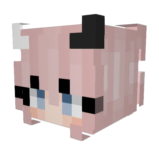 katpeech Minecraft avatar head, 3D render