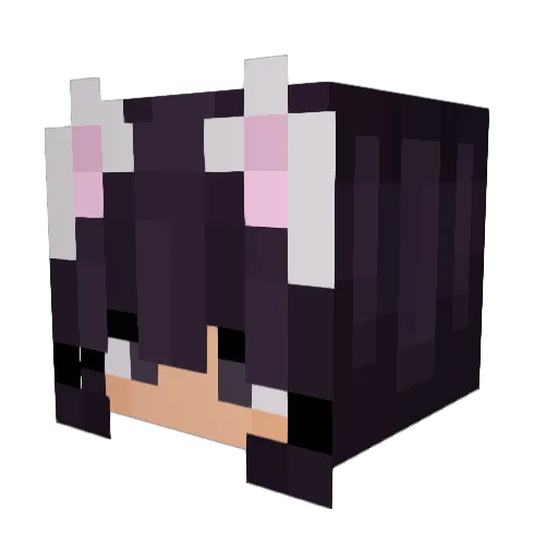 katsphobic Minecraft avatar head, 3D render