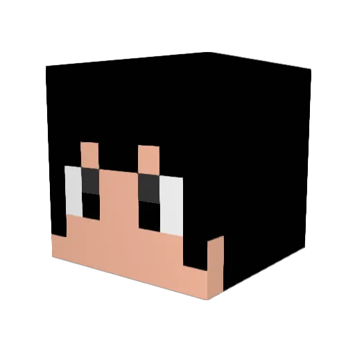 katsuobusi64 Minecraft avatar head, 3D render
