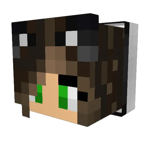 katt1107 Minecraft avatar head, 3D render