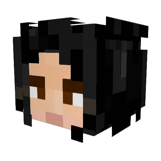 kattbilden Minecraft avatar head, 3D render