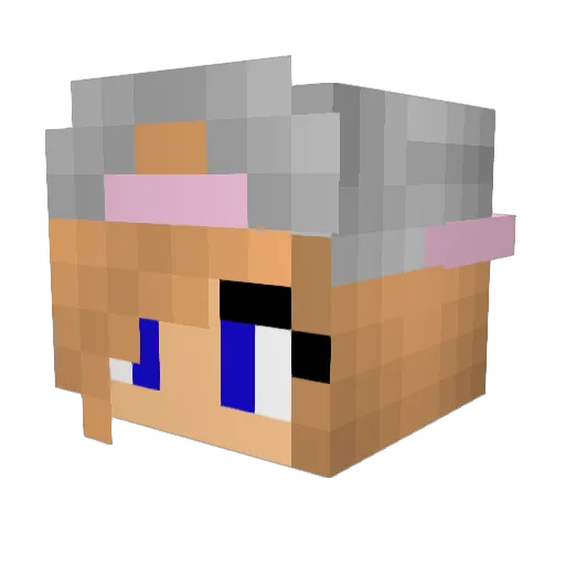 katten27 Minecraft avatar head, 3D render