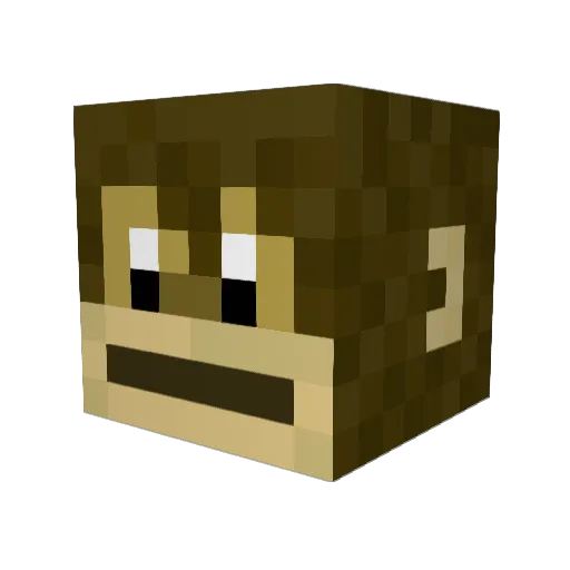 kattentemmer Minecraft avatar head, 3D render