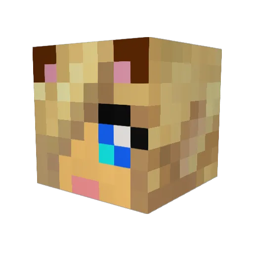 kattykat1223 Minecraft avatar head, 3D render