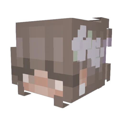 katwmp Minecraft avatar head, 3D render