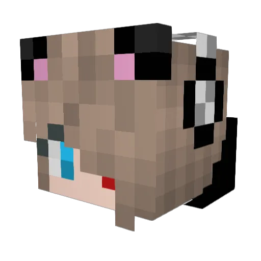 katz2002 Minecraft avatar head, 3D render