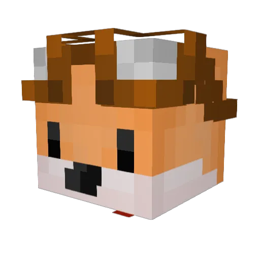 katznator Minecraft avatar head, 3D render