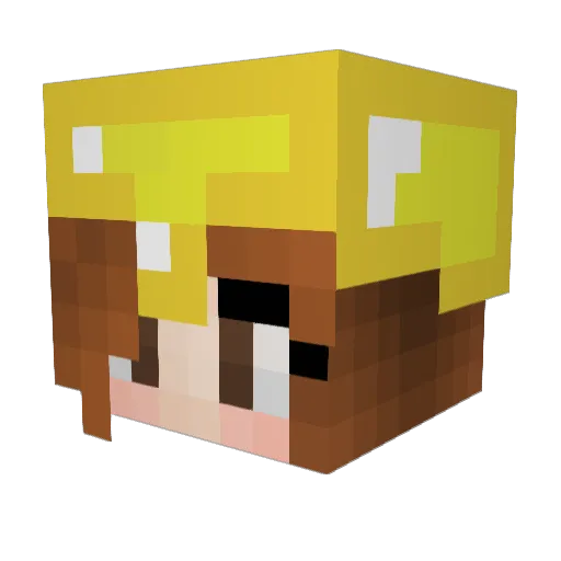 kauabosta Minecraft avatar head, 3D render