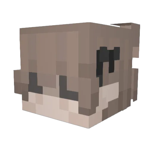 kaugan Minecraft avatar head, 3D render