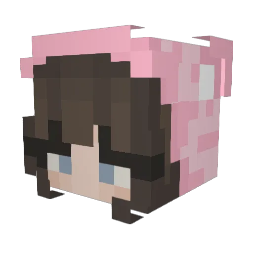 kaunkx Minecraft avatar head, 3D render