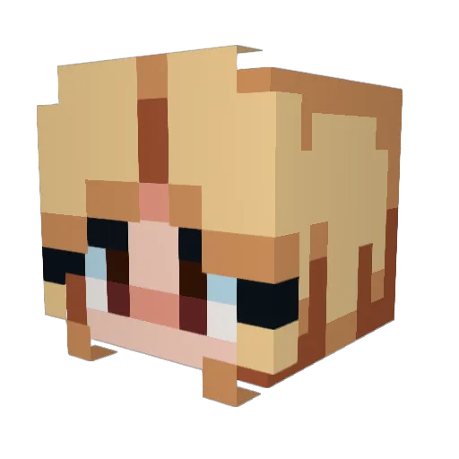 kauutie Minecraft avatar head, 3D render