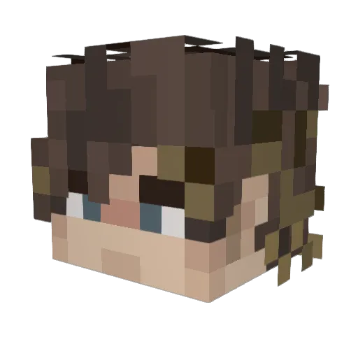 kavalkoos Minecraft avatar head, 3D render