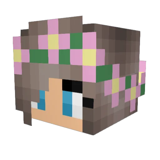 kawaii_panda2600 Minecraft avatar head, 3D render