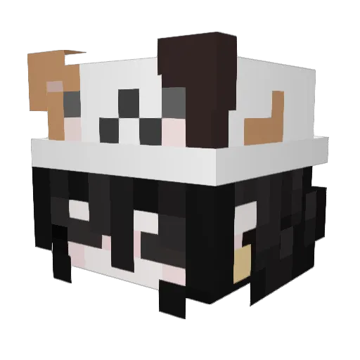 kawaiifyy Minecraft avatar head, 3D render