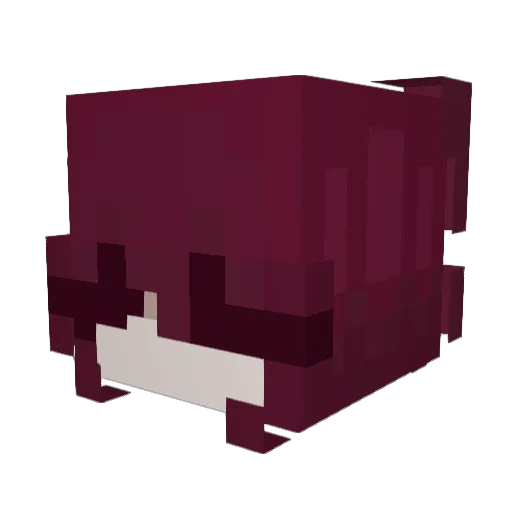 kawaitavius Minecraft avatar head, 3D render