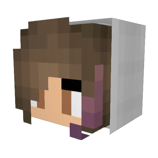 kawanori Minecraft avatar head, 3D render
