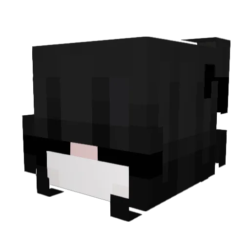 kaxuse Minecraft avatar head, 3D render