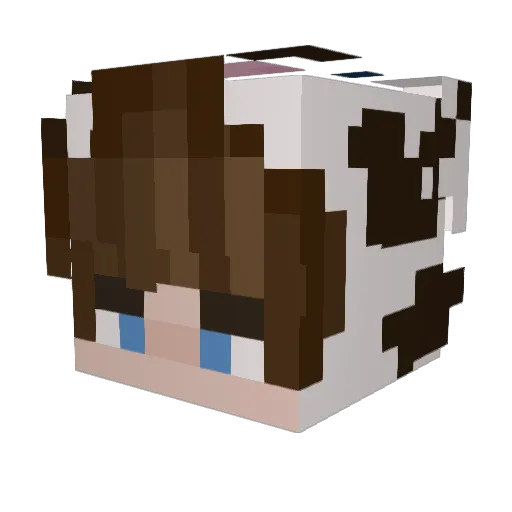 kay265 Minecraft avatar head, 3D render