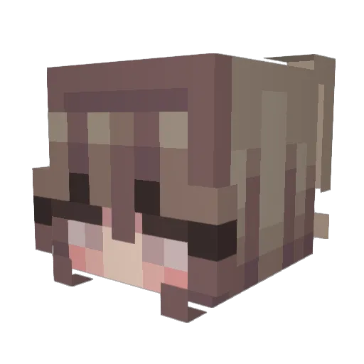 kay_lee1 Minecraft avatar head, 3D render
