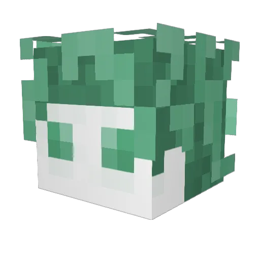kay_non Minecraft avatar head, 3D render