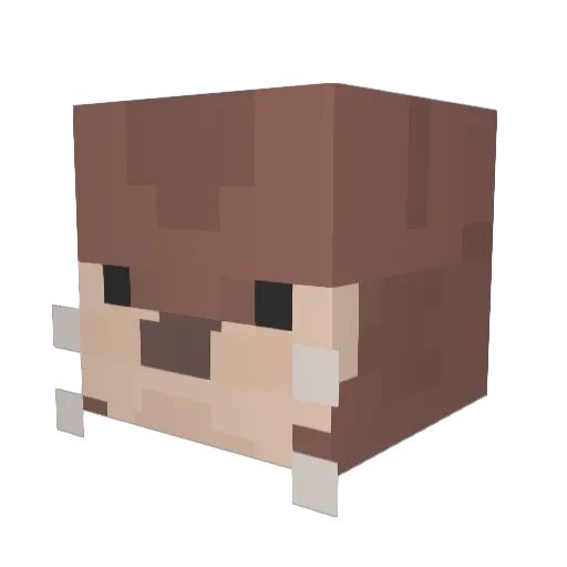 kaya1208 Minecraft avatar head, 3D render