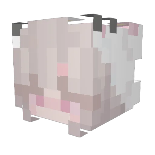 kayamor Minecraft avatar head, 3D render