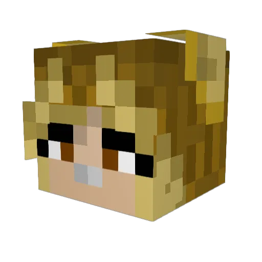 kayazilla Minecraft avatar head, 3D render