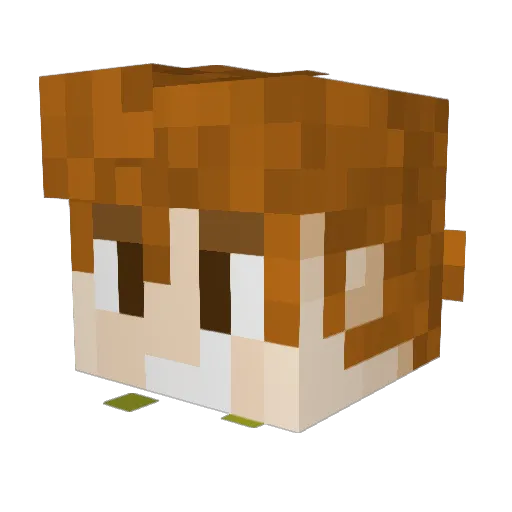 kayblis Minecraft avatar head, 3D render