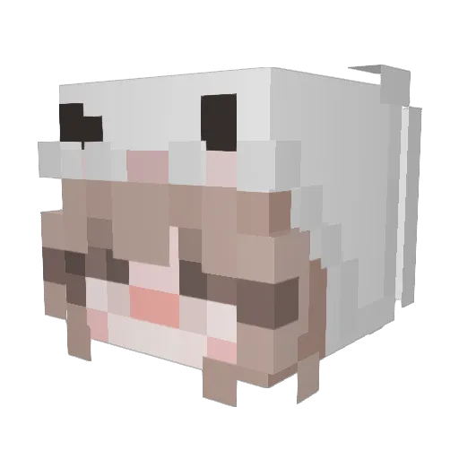 kaybunni Minecraft avatar head, 3D render