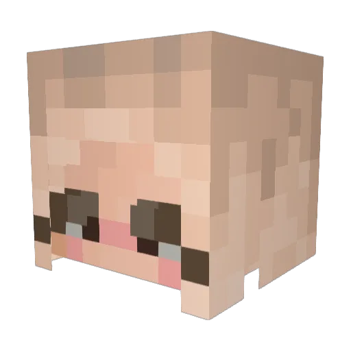 kaydahh Minecraft avatar head, 3D render