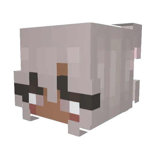 kaydawg1 Minecraft avatar head, 3D render
