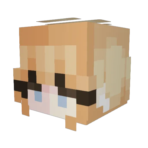 kayden030 Minecraft avatar head, 3D render