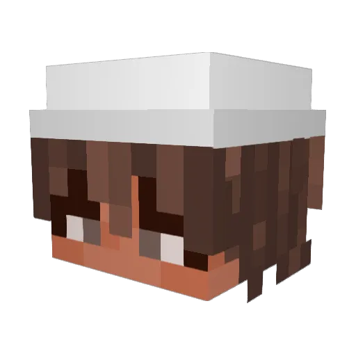 kayden1700 Minecraft avatar head, 3D render